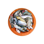 পাঁচ মিশালী মাছ 250gm